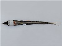 藏品(銀雞)的圖片